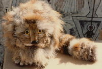 Fizzgig