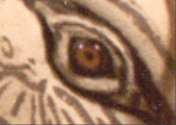 Mystic Eye